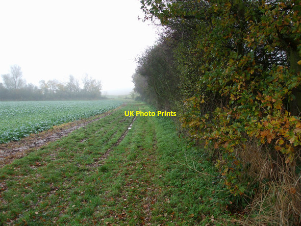 Photo 6"x4" Footpath view Shotgate c2010