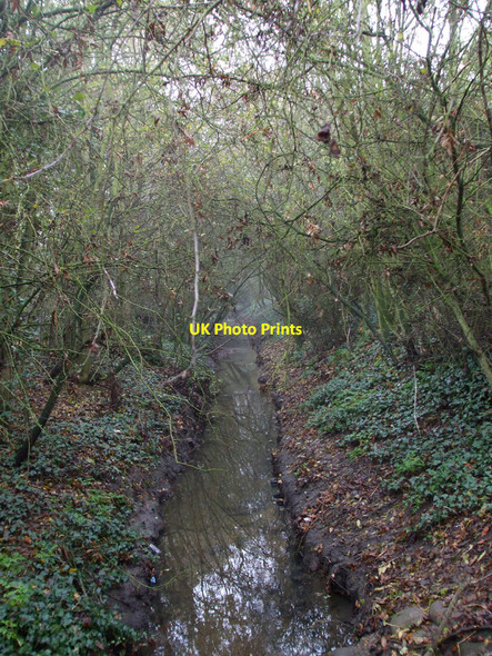 Photo 6"x4" Stream under the bridge Nevendon c2010
