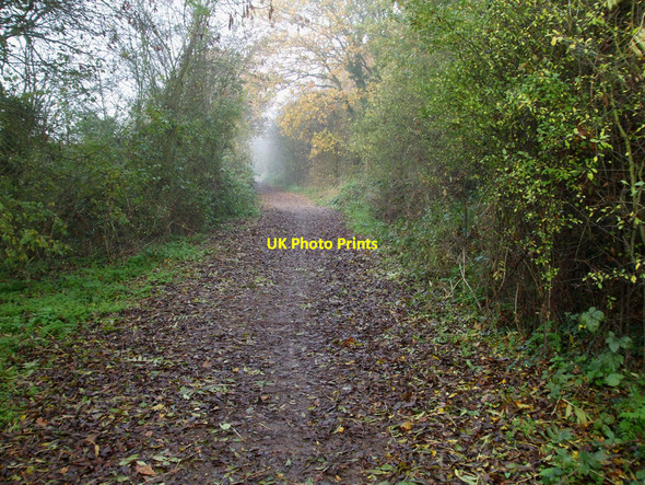 Photo 6"x4" Bridleway 150 Nevendon c2010