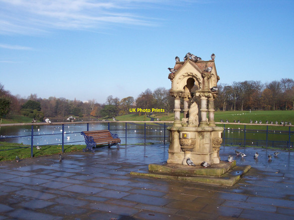 Photo 6"x4" Pigeons make themselves at home in Sefton Park Aigburth c2010
