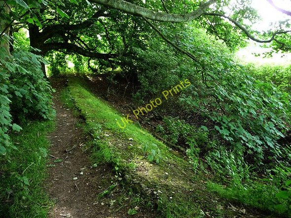 Photo 6"x4" Dried up pond Heaverham c2009