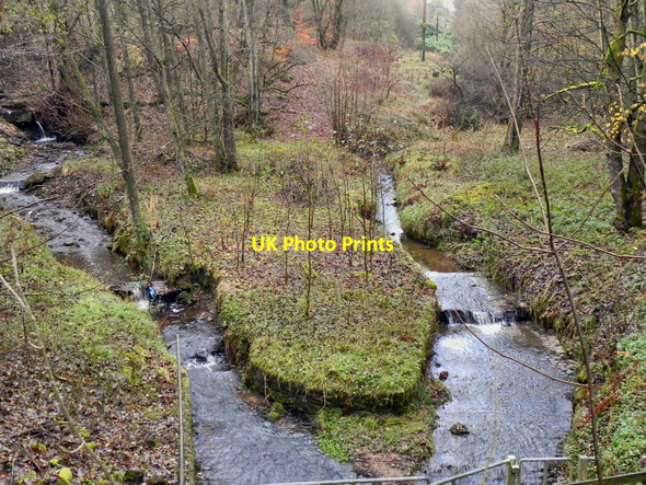 Photo 6"x4" Gale Brook Horrocks Fold c2010