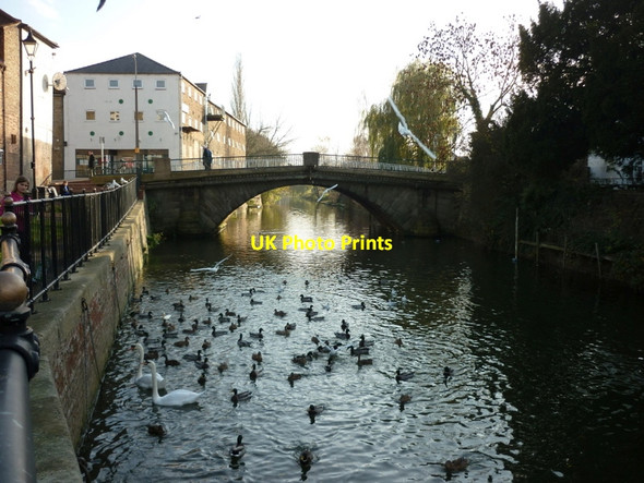 Photo 6"x4" Feeding the birds on the Old River Ancholme Brigg c2010