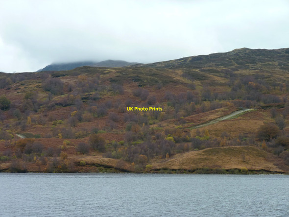 Photo 6"x4" Forestry road Glasahoile c2010