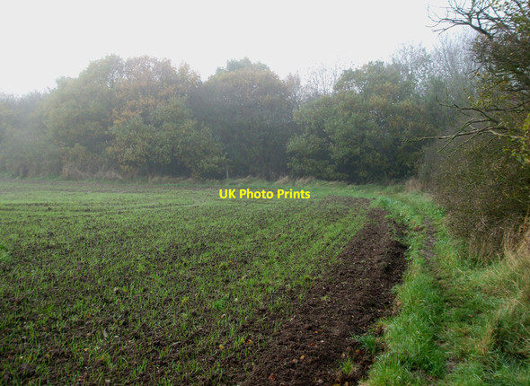 Photo 6"x4" Footpath after the bridge Nevendon c2010