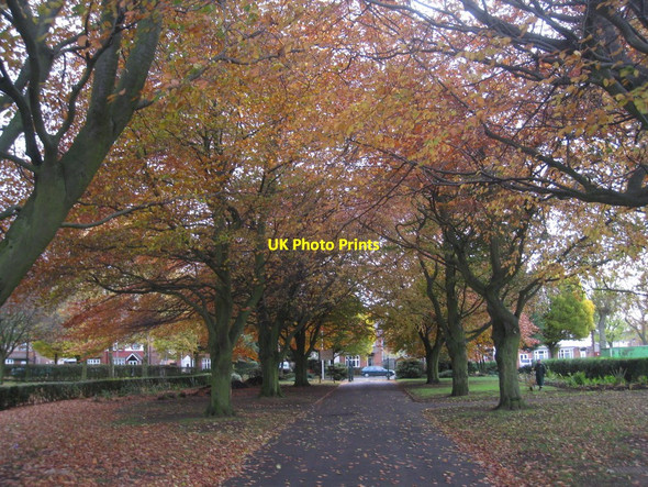 Photo 6"x4" The Avenue in Sheffield Park Scunthorpe c2010