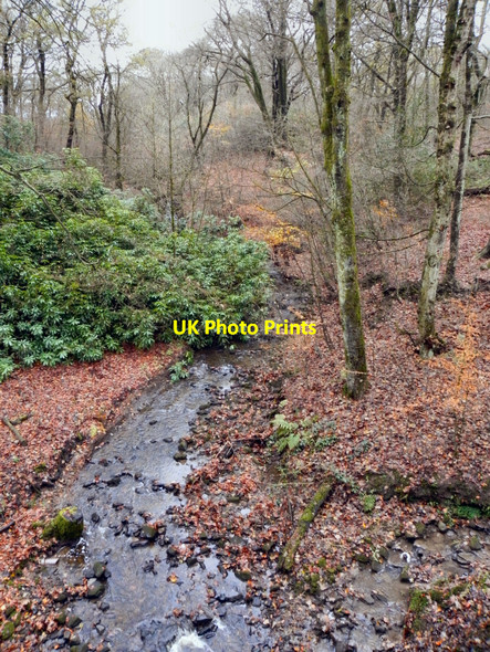 Photo 6"x4" Raveden Brook Astley Bridge c2010