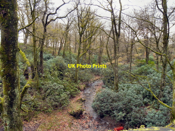 Photo 6"x4" Raveden Brook Astley Bridge c2010 P1