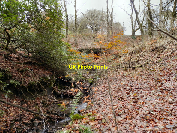 Photo 6"x4" Raveden Brook, Smithills Country Park Astley Bridge c2010
