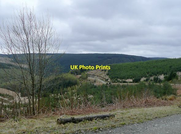 Photo 6"x4" The Tywi Forest by Cnwch Rhiwhalog, Ceredigion Cnwch Rhiwhalog c2010