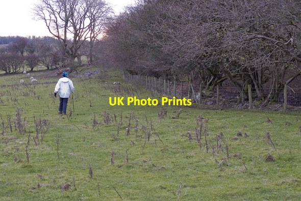Photo 6"x4" Footpath through farmland Dalton\/SD5476 c2010