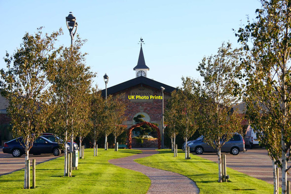 Photo 6"x4" Barton Grange Garden Centre Brock\/SD5140 c2010