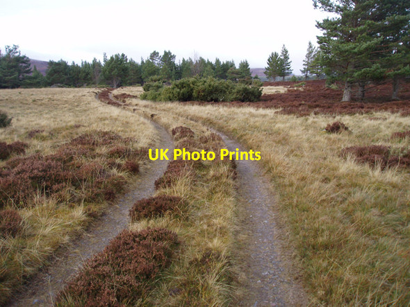 Photo 6"x4" Track to Insharn Sluggan c2010