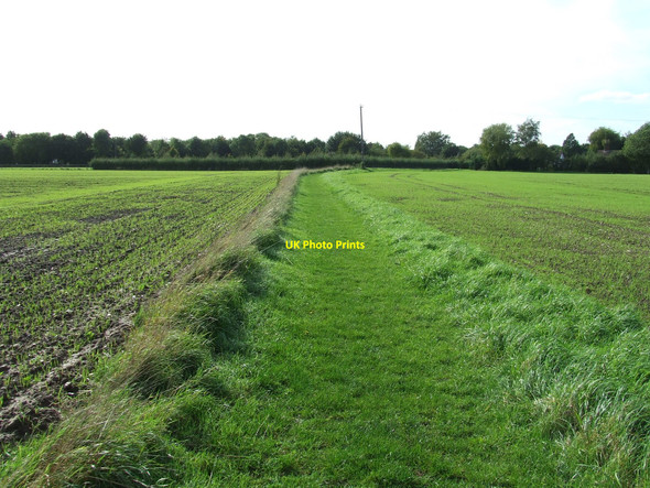 Photo 6"x4" Green Footpath Wood Green\/TM2091 c2010