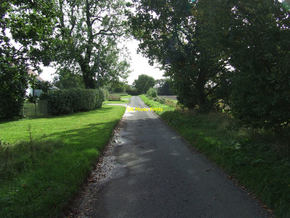 Photo 6"x4" Minor Road Wood Green\/TM2091 c2010