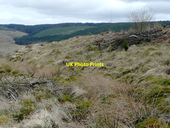 Photo 6"x4" Tywi Forest track on Cnwch Rhiwhalog, Ceredigion Cnwch Rhiwhalog c2010 P1