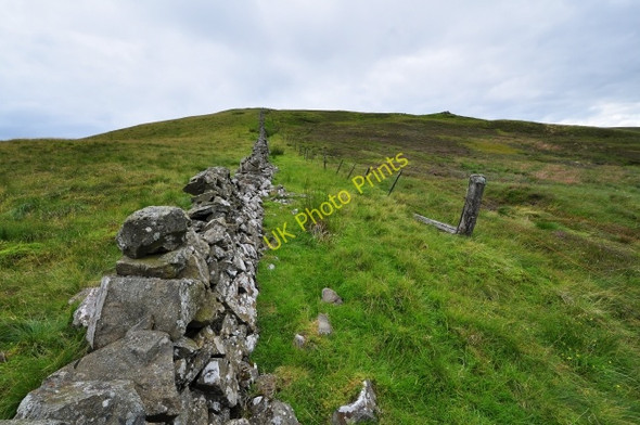 Photo 6"x4" Comb Head: Eastern slope Comb Head c2009