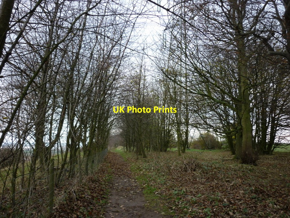 Photo 6"x4" Walking along the Cliff Burton Stather c2010