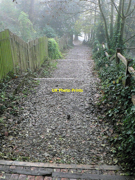 Photo 6"x4" Steps below Farnham Castle Farnham\/SU8446 c2010