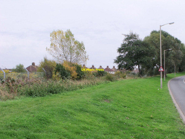 Photo 6"x4" Grass verge on Huggets Lane, Eastbourne Dittons c2010