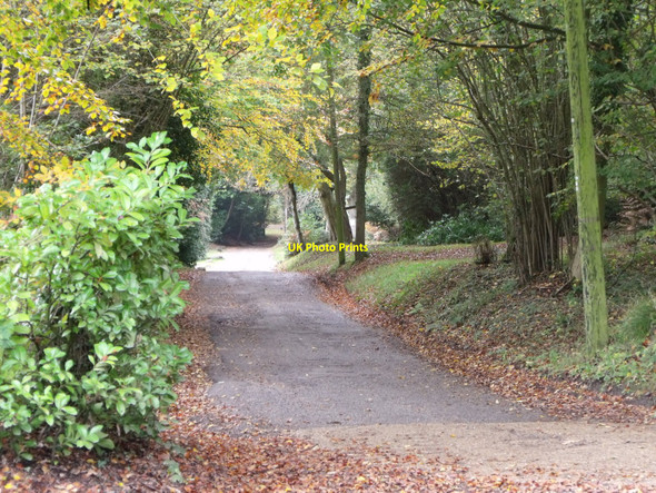Photo 6"x4" Private road near Chelwood Gate, East Sussex Chelwood Common c2010