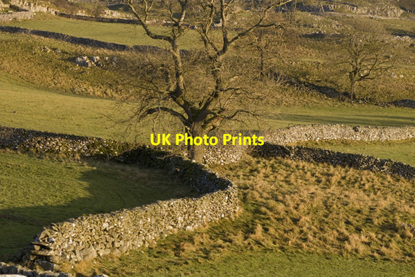 Photo 6"x4" Dry stone walls Lower Winskill Langcliffe\/SD8265 c2010