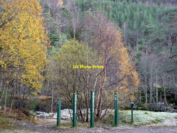 Photo 6"x4" Way markers for paths from the Dog Falls car park Tomich\/NH3027 c2010
