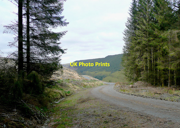 Photo 6"x4" Forestry road on Cnwch Rhiwhalog, Ceredigion Cefn Ty'n-y-graig c2010