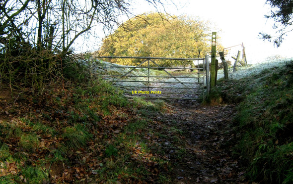 Photo 6"x4" Leaving the farm Biddulph c2010
