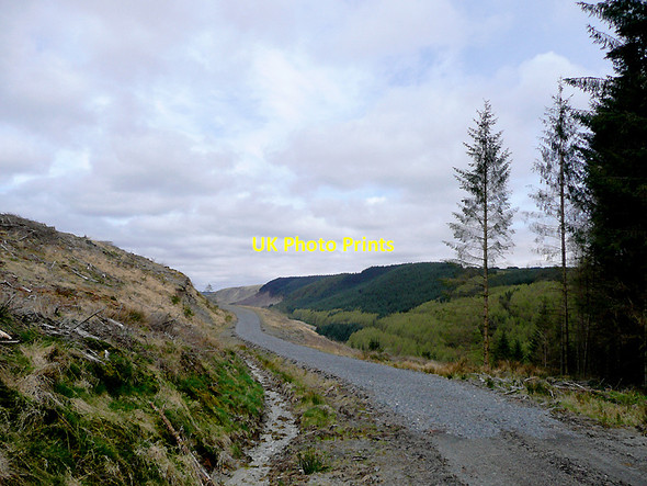 Photo 6"x4" Forestry road above Cwm Tywi, Ceredigion Cefn Ty'n-y-graig c2010