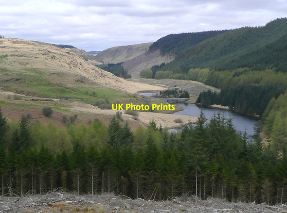 Photo 6"x4" The Tywi Forest and Cwm Tywi, Ceredigion Cefn Ty'n-y-graig c2010