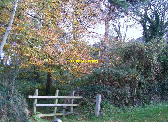 Photo 6"x4" Public footpath stile leading into Castle Hill Woods Dundrum\/J4036 c2010