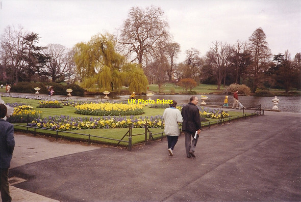 Photo 6"x4" Royal Botanical Gardens, Kew Brentford c1992