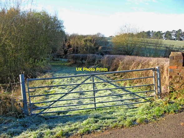 Photo 6"x4" Gate to piece of land by Staffs & Worcs Canal Stourport-on-Severn c2010