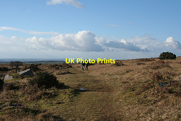 Photo 6"x4" Meavy: on Wigford Down Shaugh Prior c2010