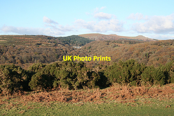 Photo 6"x4" Meavy: on Lynch Common Lovaton\/SX5466 c2010