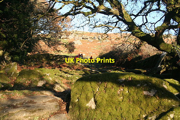 Photo 6"x4" Sheepstor: path to the tor Sheepstor c2010