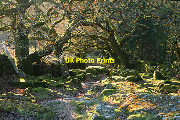 Photo 6"x4" Sheepstor: path from the tor Sheepstor c2010