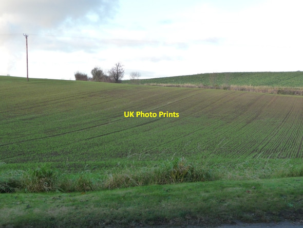 Photo 6"x4" Parallel lines on a hillside Darrington c2010