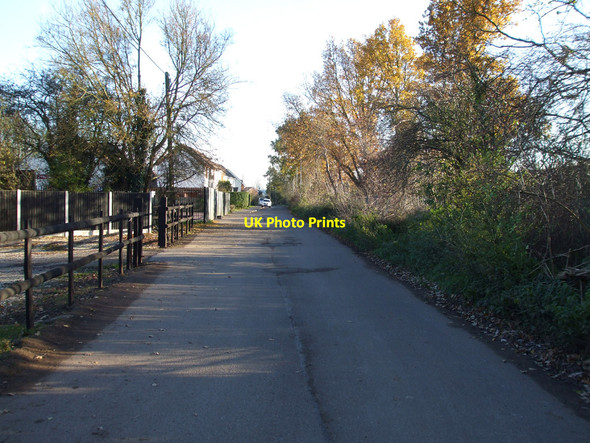 Photo 6"x4" Magnolia Road Ashingdon c2010