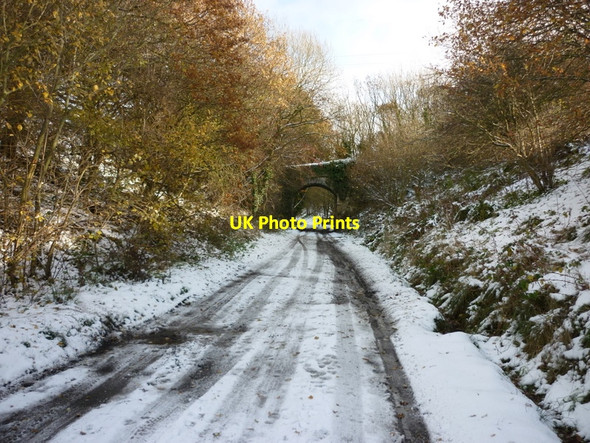 Photo 6"x4" A farm bridge near Howdale Wood Fylingthorpe c2010