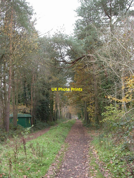 Photo 6"x4" Ashley Heath, trailway Ashley Heath\/SU1104 c2010