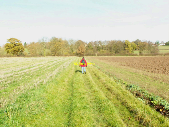Photo 6"x4" Footpath To Oakley Coldham\/SJ8508 c2010