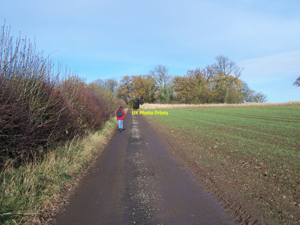 Photo 6"x4" Footpath Near Chillington Coldham\/SJ8508 c2010