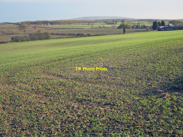 Photo 6"x4" Arable land at Hermitage Farm Stonehall\/SO8848 c2010