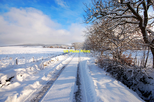Photo 6"x4" Driveway to the Dairy at Daviot Daviot\/NH7239 c2010