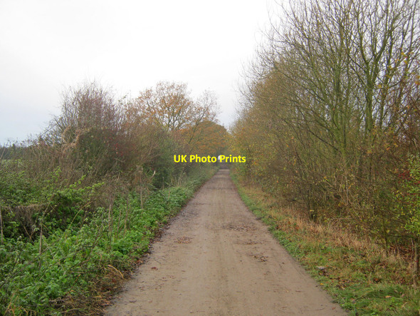 Photo 6"x4" Track at Battram Wood Battram c2010