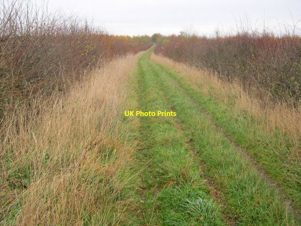 Photo 6"x4" Track at Grange Wood Battram c2010