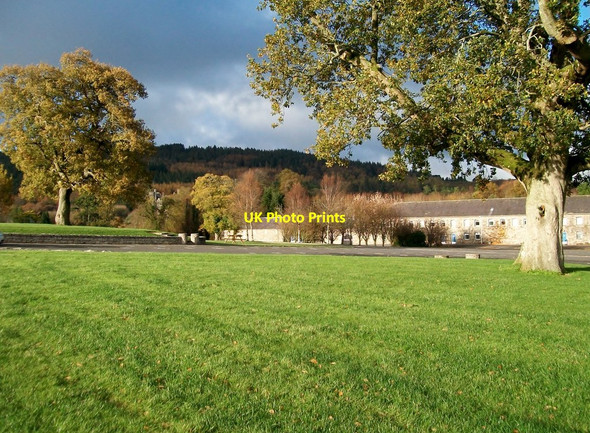 Photo 6"x4" Parkland at Castlewellan Forest Park Castlewellan c2010