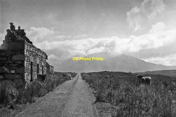 Photo 6"x4" On A832 at summit of Dundonnell Forest to mountains of Fannich Forest Allt Lochain Buidhe c1957
